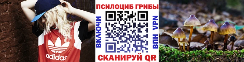 даркнет сайт  Киреевск  Галлюциногенные грибы Psilocybine cubensis 