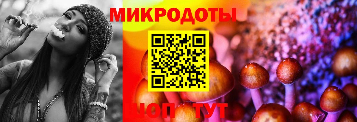 Псилоцибиновые грибы мухоморы Киреевск